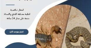 شركة مكافحة عقارب وثعابين شمال الرياض 68 شركة مكافحة عقارب وثعابين شمال الرياض | 0510172091