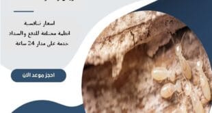 مكافحة النمل الابيض بالرياض 68 شركة مكافحة النمل الابيض بالرياض | 0510172091