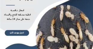 شركة مكافحة النمل الابيض شمال الرياض 65 شركة مكافحة النمل الابيض شمال الرياض | 0510172091