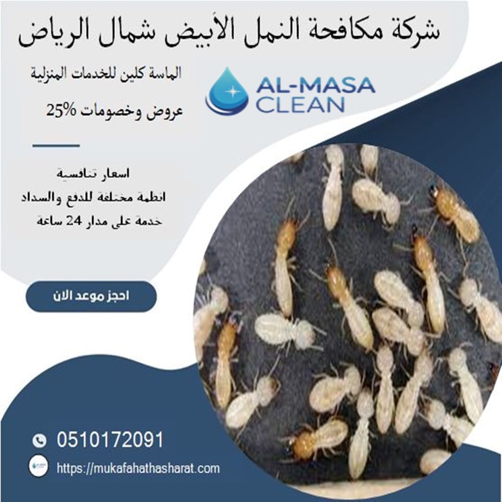 شركة مكافحة النمل الابيض شمال الرياض 1 شركة مكافحة النمل الابيض شمال الرياض | 0510172091
