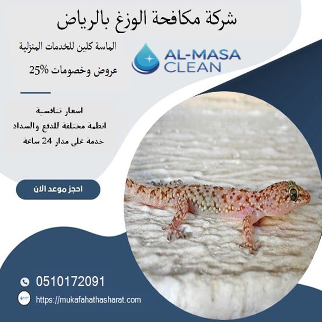 شركة مكافحة الوزغ بالرياض 2 شركة مكافحة الوزغ بالرياض | 0510172091