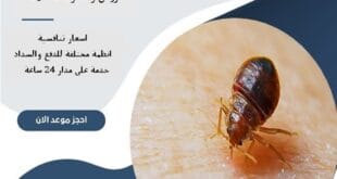 شركة مكافحة بق الفراش شمال الرياض | 0510172091