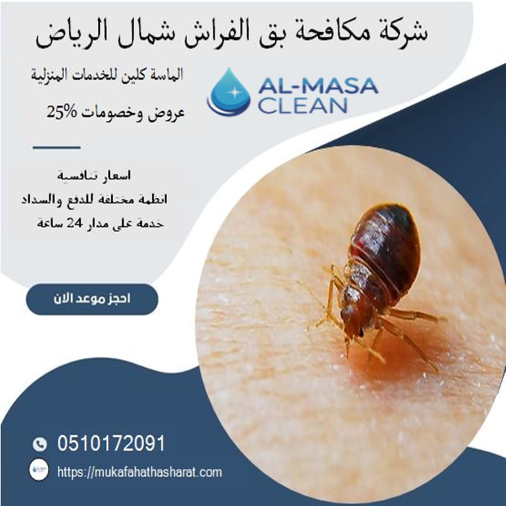 شركة مكافحة بق الفراش شمال الرياض 1 شركة مكافحة بق الفراش شمال الرياض | 0510172091