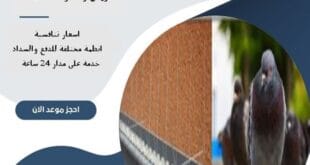 مكافحة حمام بالرياض 8 شركة مكافحة حمام بالرياض | 0510172091