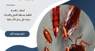 شركة مكافحة صراصير شمال الرياض 68 شركة مكافحة صراصير شمال الرياض | 0510172091