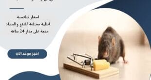 مكافحة فئران بالرياض 62 شركة مكافحة فئران بالرياض | 0510172091