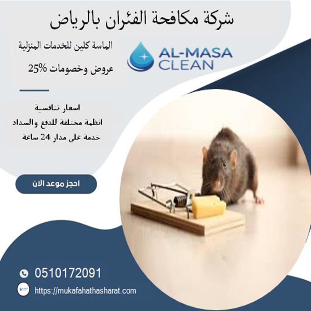 مكافحة فئران بالرياض 1 شركة مكافحة فئران بالرياض | 0510172091