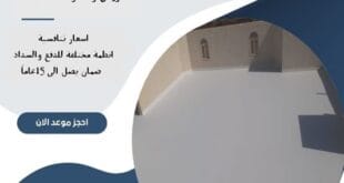 شركة عزل بالرياض| 0510172091