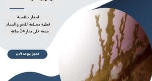 شركة مكافحة الارضة شمال الرياض | 0510172091
