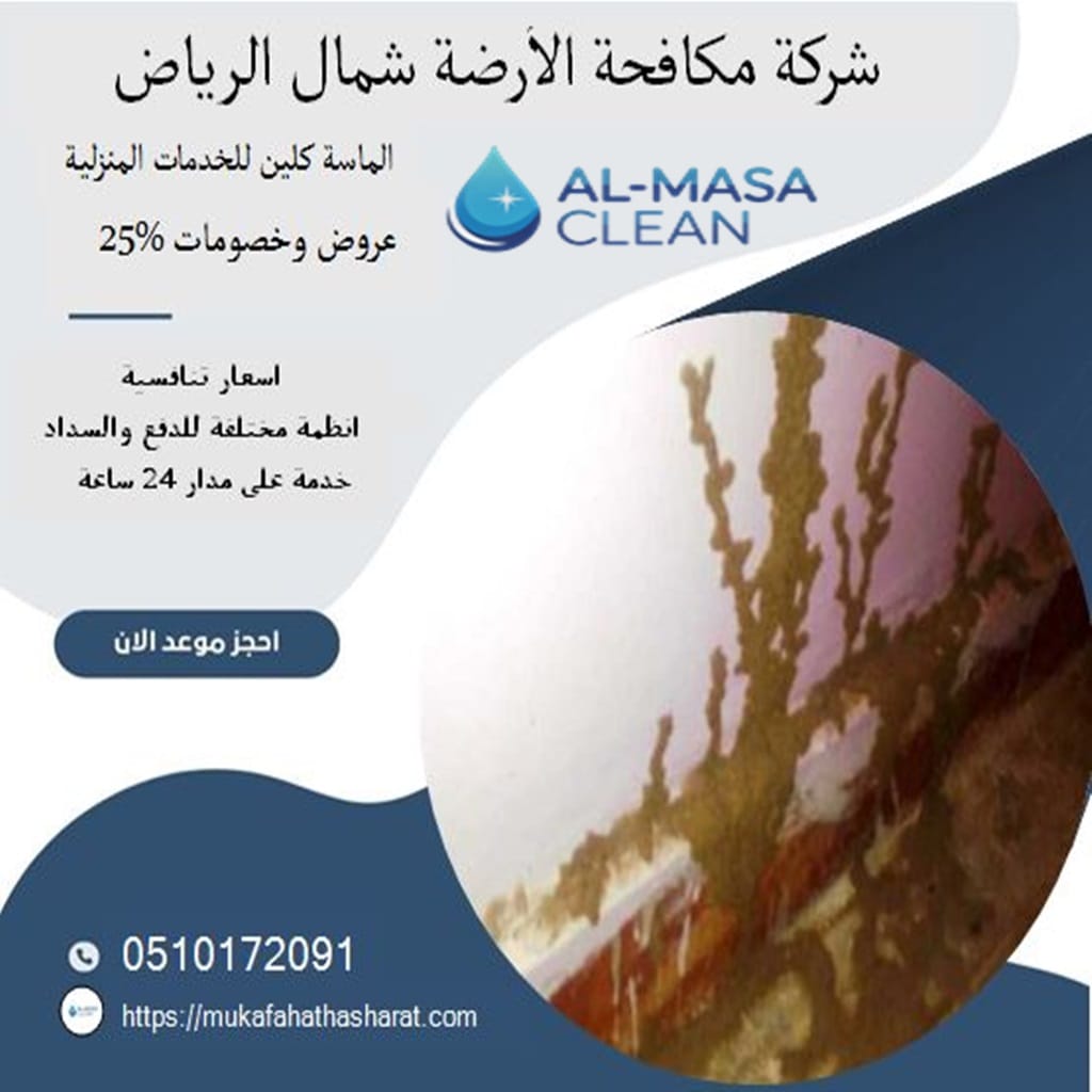 مكافحة الارضة شمال الرياض 1 شركة مكافحة الارضة شمال الرياض | 0510172091