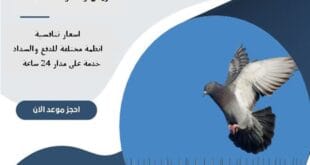 مكافحة حمام شرق الرياض 68 شركة مكافحة حمام شرق الرياض | 0510172091