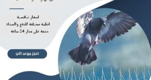 مكافحة حمام شمال الرياض 7 شركة مكافحة حمام شمال الرياض | 0510172091