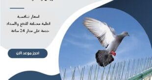 شركة مكافحة حمام غرب الرياض 22 شركة مكافحة حمام غرب الرياض | 0510172091