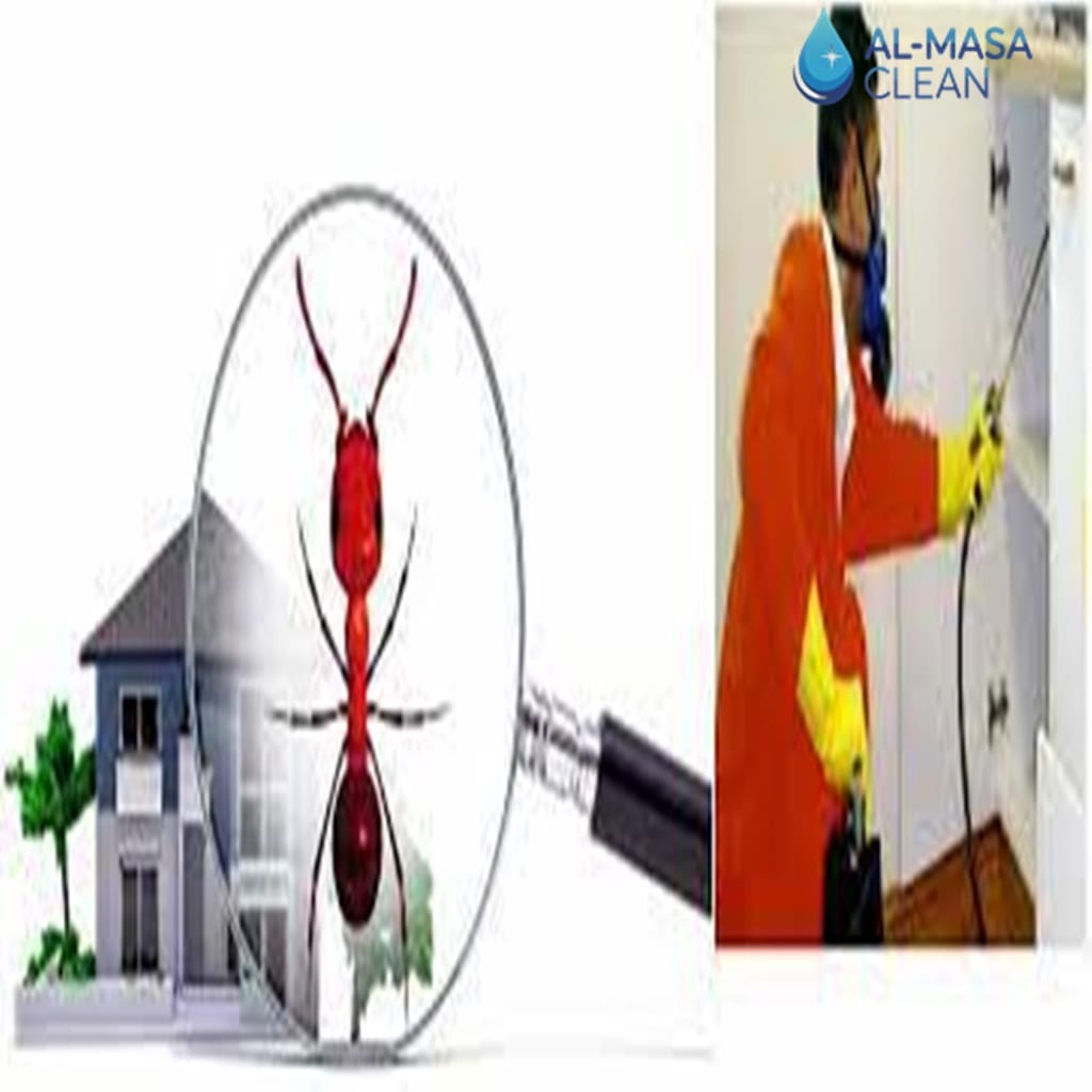 إبادة فورية مع أفضل شركة مكافحة حشرات بالرياض 1 أفضل شركة شركة مكافحة حشرات بالرياض | 0510172091| 0510172091