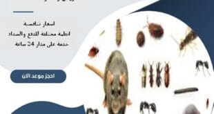مكافحة الحشرات بالخرج 65 شركة مكافحة الحشرات بالخرج | 0510172091