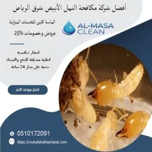 أفضل شركة مكافحة النمل الأبيض شرق الرياض| 0510172091