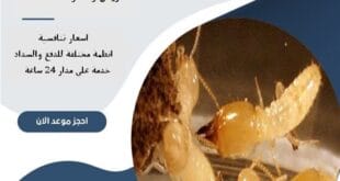 أفضل شركة مكافحة النمل الأبيض شرق الرياض 66 أفضل شركة مكافحة النمل الأبيض شرق الرياض| 0510172091