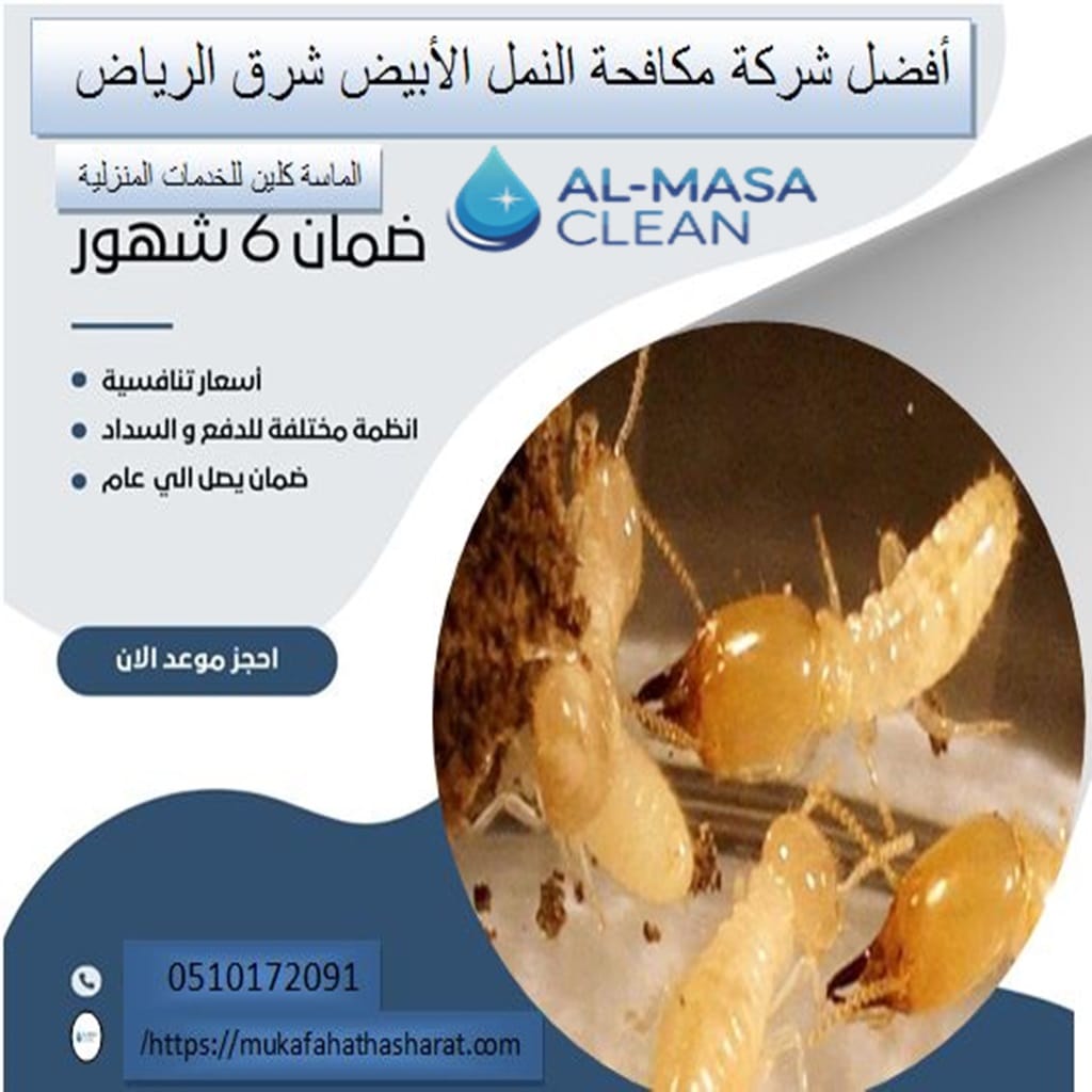 أفضل شركة مكافحة النمل الأبيض شرق الرياض 1 أفضل شركة مكافحة النمل الأبيض شرق الرياض| 0510172091