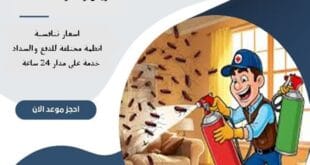 أفضل شركة مكافحة حشرات شرق الرياض 62 أفضل شركة مكافحة حشرات شرق الرياض| 0510172091