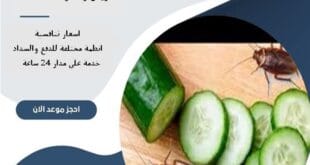 أفضل شركة مكافحة صراصير شرق الرياض 69 أفضل شركة مكافحة صراصير شرق الرياض| 0510172091