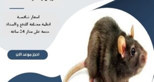 مكافحة الفئران شرق الرياض 62 أفضل شركة مكافحة الفئران شرق الرياض| 0510172091