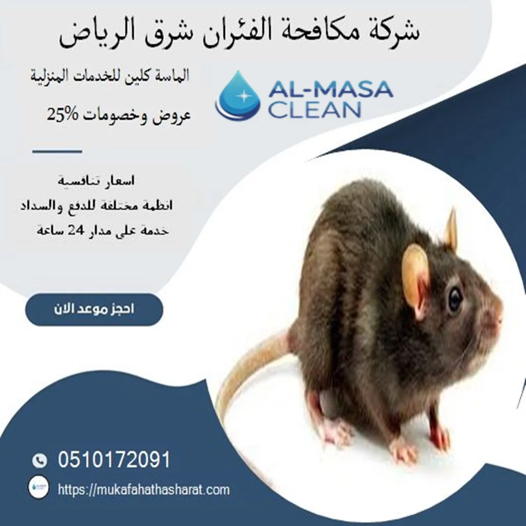 أفضل شركة مكافحة الفئران شرق الرياض| 0510172091