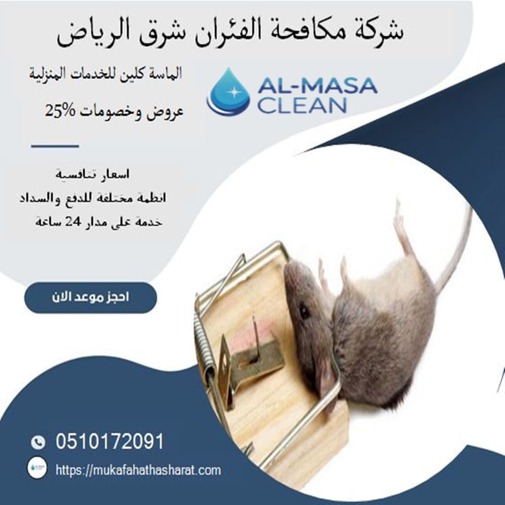 مكافحة الفئران شرق الرياض 3 أفضل شركة مكافحة الفئران شرق الرياض| 0510172091