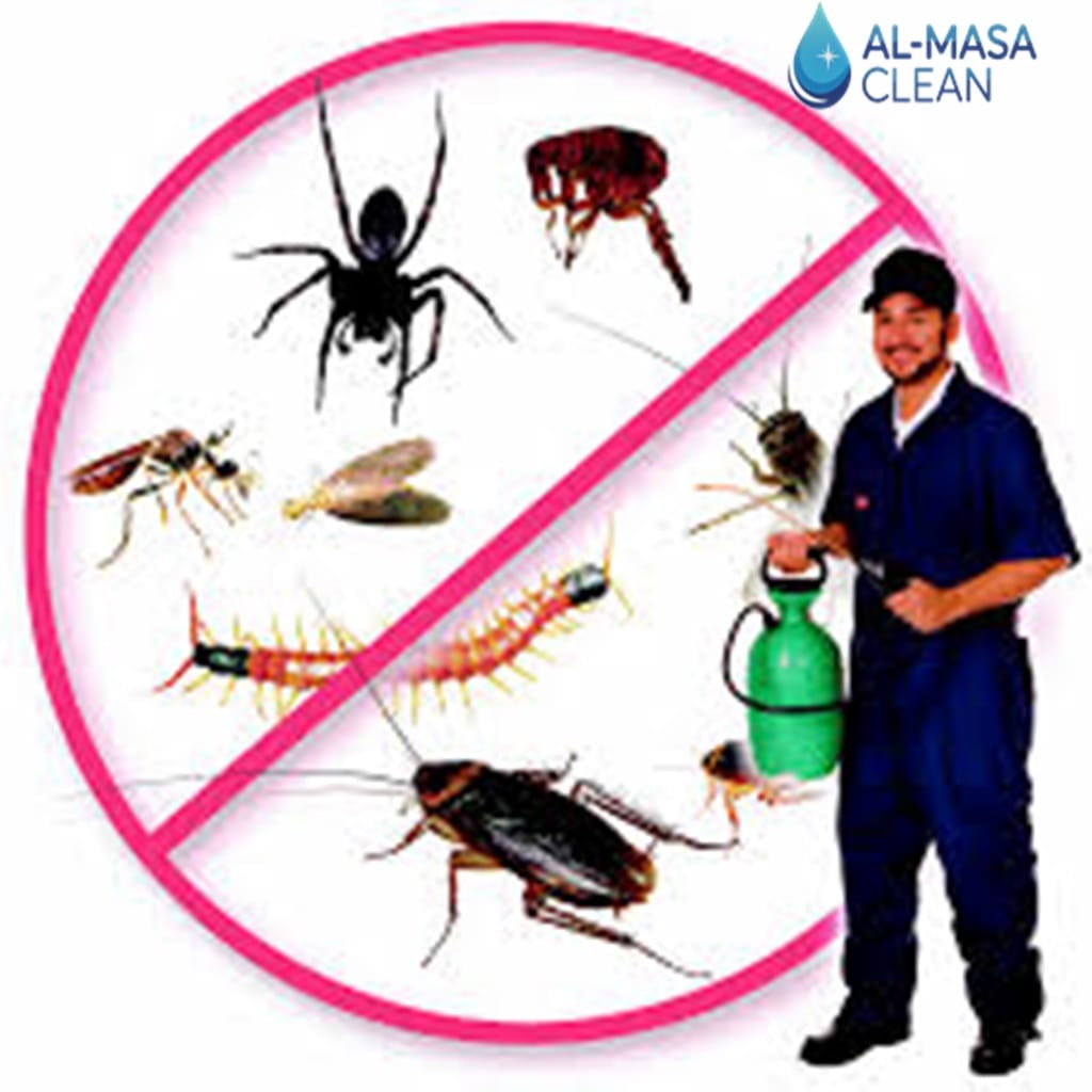 أفضل شركة مكافحة صراصير شرق الرياض 2 مكافحة صراصير شرق الرياض004
