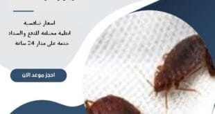 مكافحة البق شرق الرياض 65 شركة مكافحة البق شرق الرياض| 0510172091