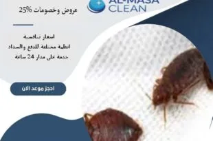 شركة مكافحة البق شرق الرياض| 0510172091
