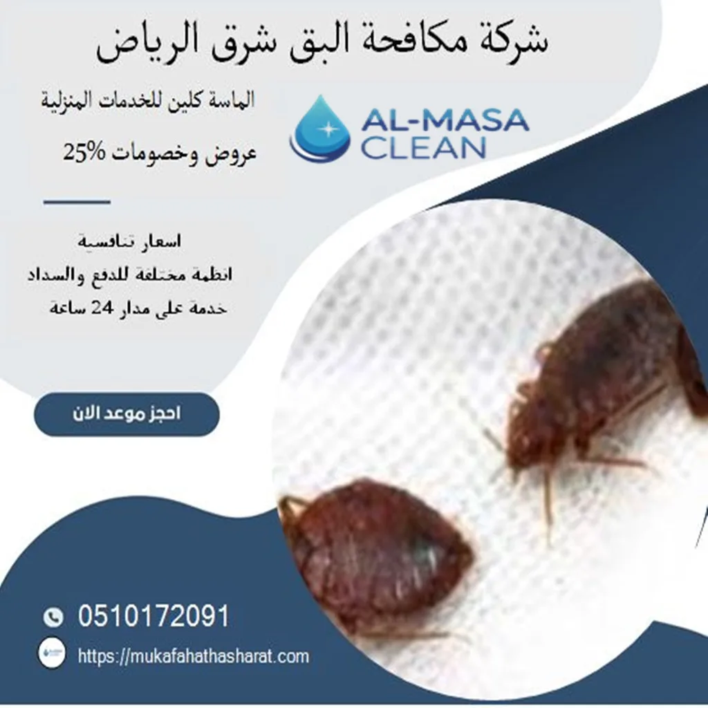 شركة مكافحة البق شرق الرياض| 0510172091