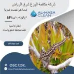 مكافحة الوزغ شرق الرياض 8 شركة مكافحة الوزغ شرق الرياض| 0510172091