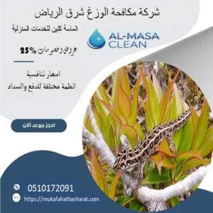 شركة مكافحة الوزغ شرق الرياض| 0510172091