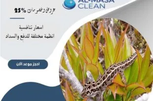 شركة مكافحة الوزغ شرق الرياض| 0510172091