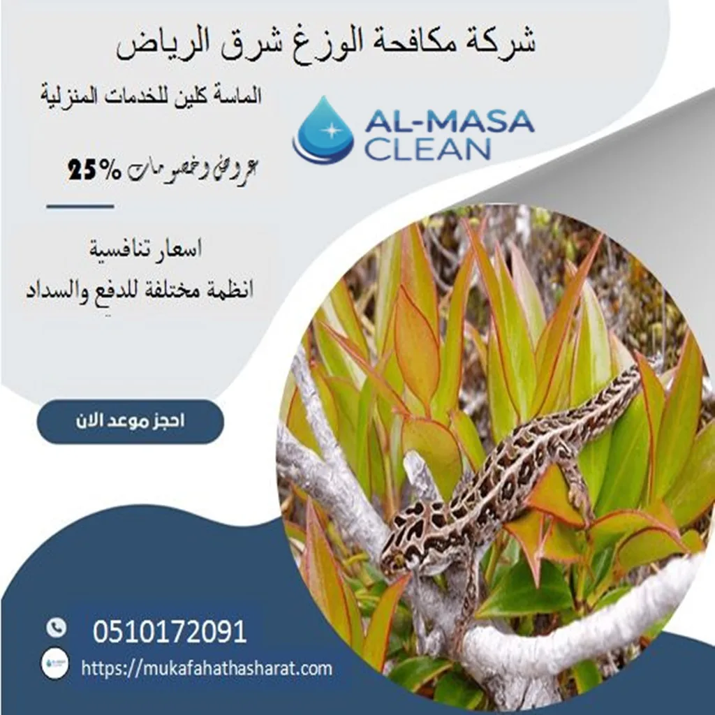 شركة مكافحة الوزغ شرق الرياض| 0510172091