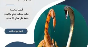 مكافحة العقارب والثعابين في شرق الرياض| 0510172091